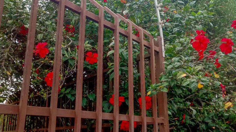 Jardins
